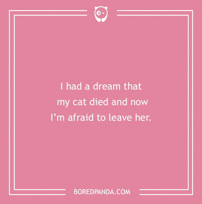 Funny excuses people used trying to pull a sickie with a dream about their cat dying and fear to leave her.