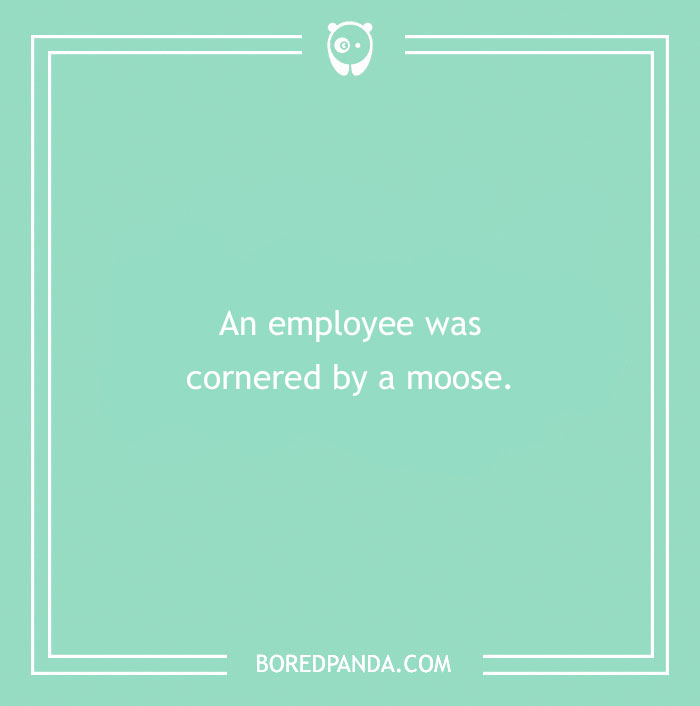 Funny excuses people used trying to pull a sickie with far-fetched reasons like being cornered by a moose.