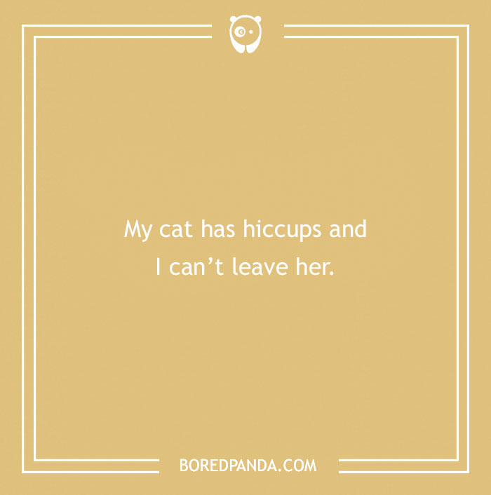 Funny excuse text image showing a far-fetched reason about a cat with hiccups for trying to pull a sickie.