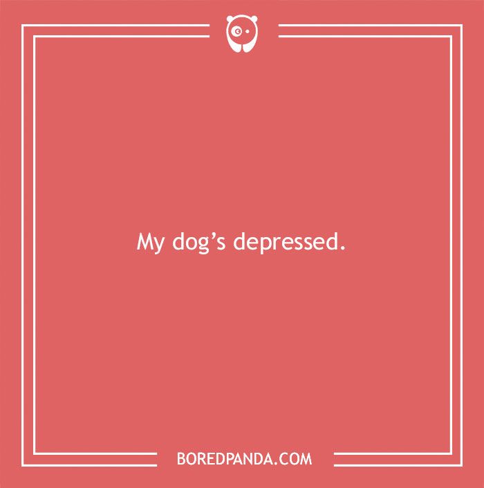 Far-fetched funny excuse reading My dog's depressed as a unique sickie reason on a red background.