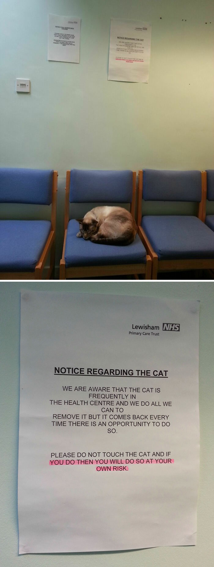 I Was Surprised To See A Cat At The Doctor's Waiting Room. Then I Noticed The Sign