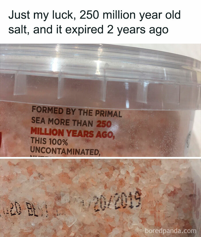 Funny-Language-Errors-Posts-Puns