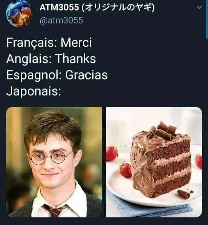 Funny-Language-Errors-Posts-Puns