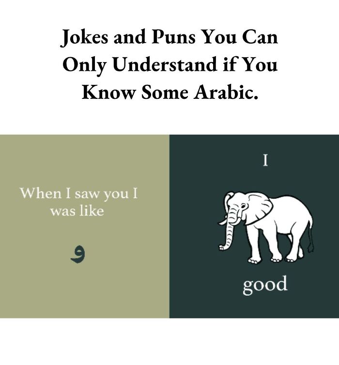 Funny-Language-Errors-Posts-Puns