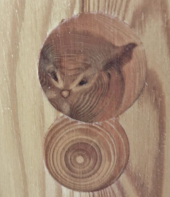 A Knot In The Wood Of My Door That Looks Like An Owl Has Been Trapped Inside Of It