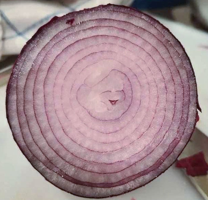 This Cross Section Of An Onion