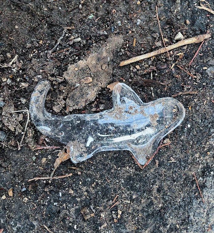 This Ice Melted Into A Shark