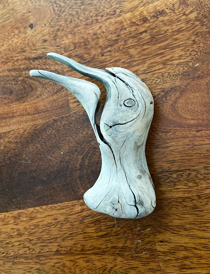 A Piece Of Driftwood That Looks Just Like A Seagull