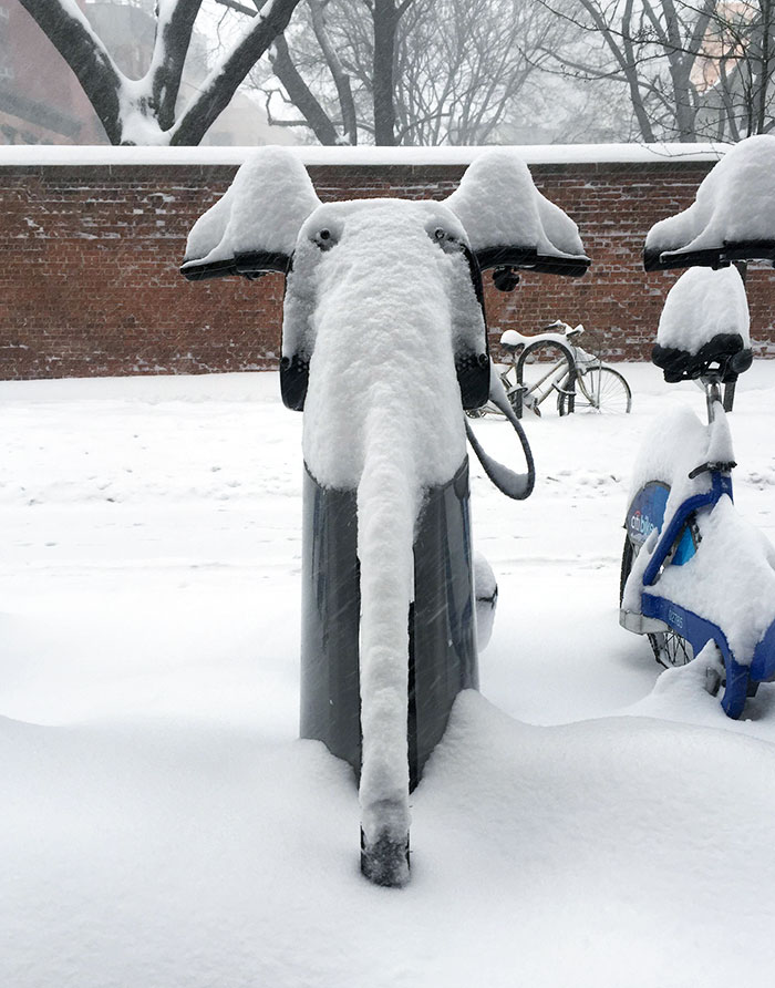 Snow Elephant On A NYC "Citi Bike"