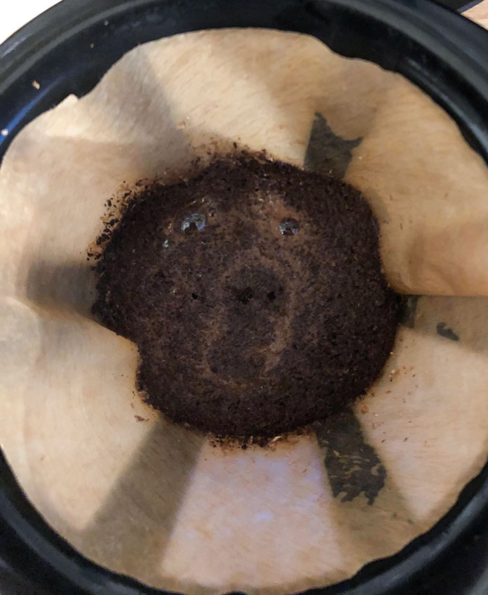 This Morning's Coffee Bloom Looked Like A Surprised Bear