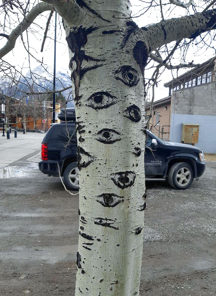 I Found This Tree With Eyes