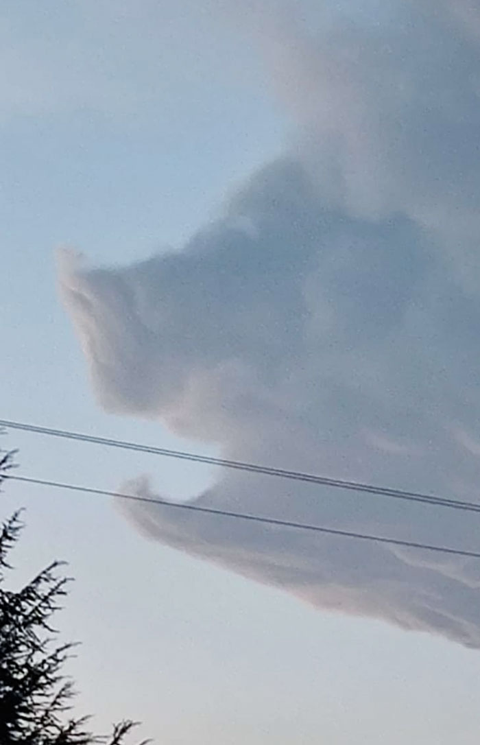 Cloud That Looks Like A Pig's Head