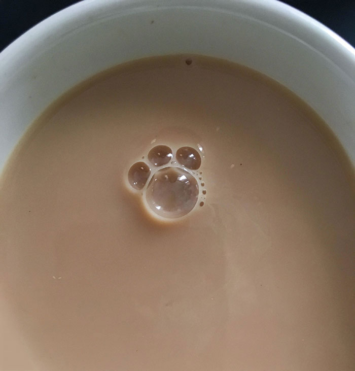 The Bubbles In My Tea Made A Paw Print