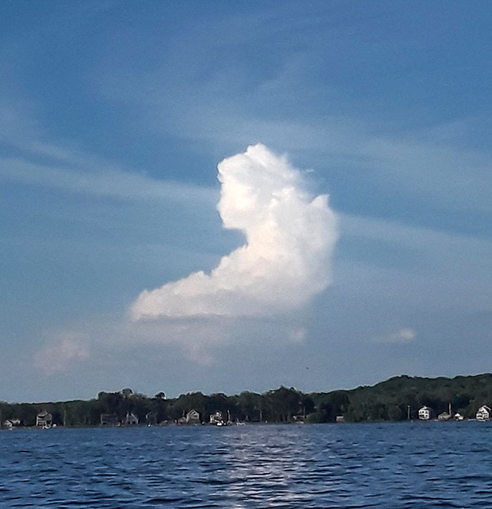 I Went Boating On Saratoga Lake, NY And Saw This Cloud That Looked Like A Victorian Lady