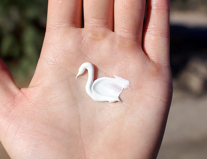 An Accidental Sunscreen Swan