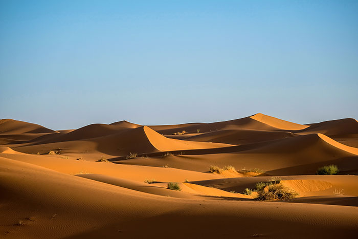 Photography of desert