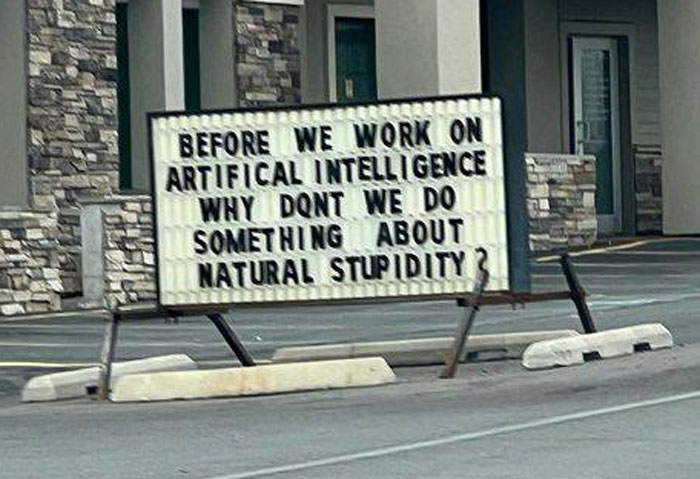 Antes de trabajar con la inteligencia artificial, ¿por qué no hacemos algo con la estupidez natural?