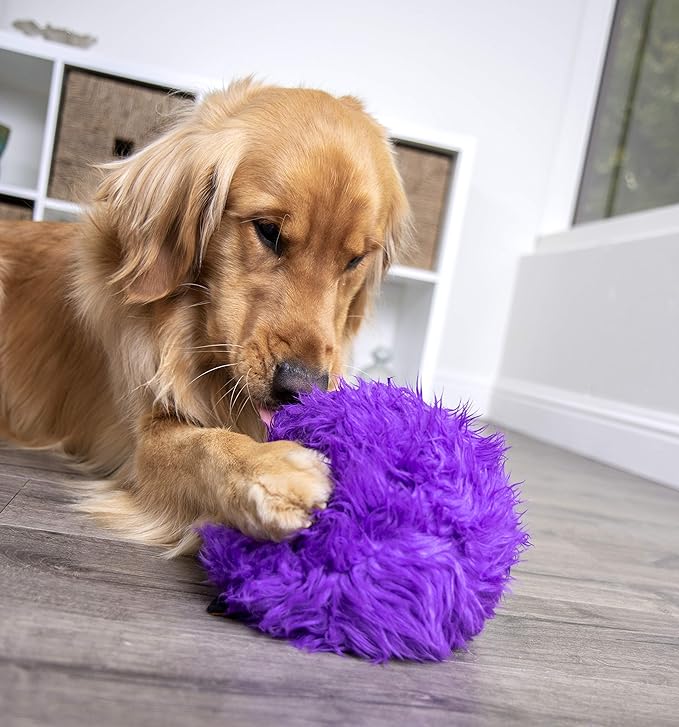 Golden retriever playing with a purple fluffy toy, ideal for tough chewers. Golden retriever playing with a purple fluffy toy, ideal for tough chewers.
