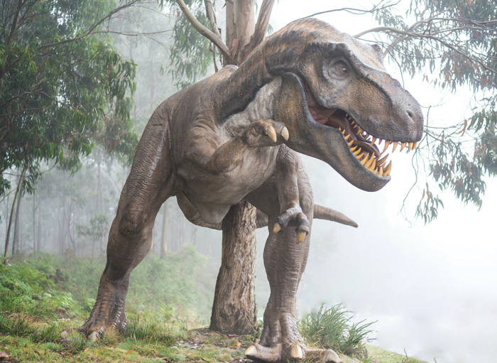 Tiranosaurus Rex in the forest