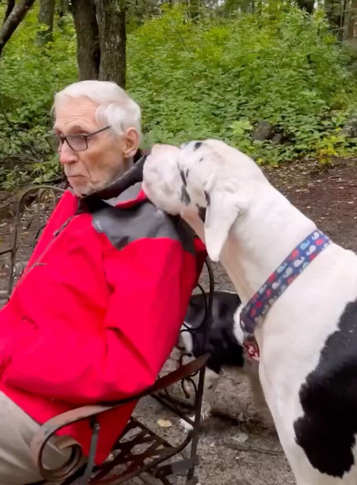 Great Dane Meets Elderly Woman On A Hike, Decides She’s His Grandma Now