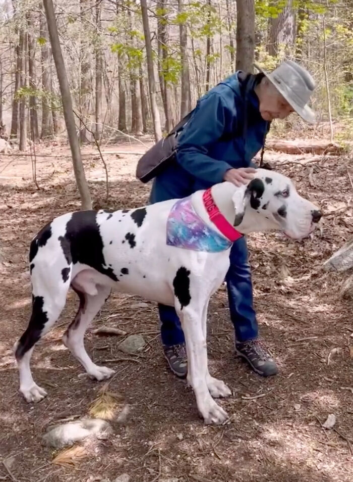 Great Dane Meets Elderly Woman On A Hike, Decides She’s His Grandma Now