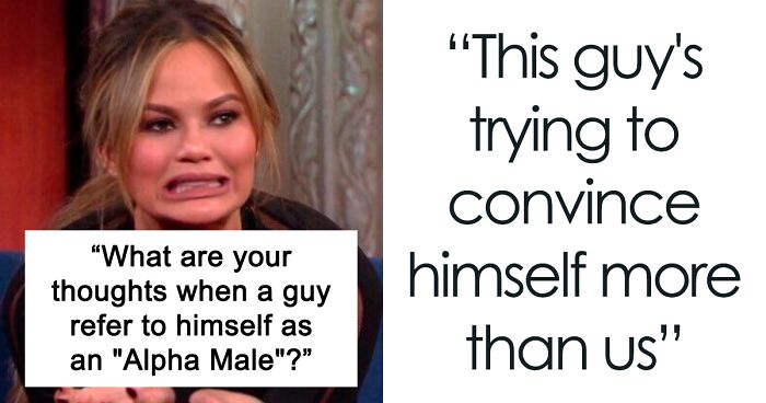 37 People Take The Time To Roast ‘Alpha Males’ In Online Discussion