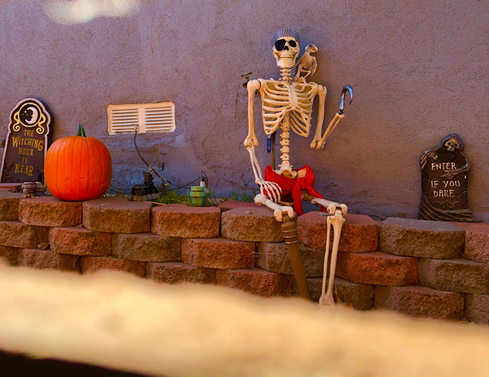 Halloween decorations with pumpkin and skeleton