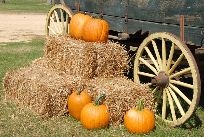 Pumpkin decorations and hay stack