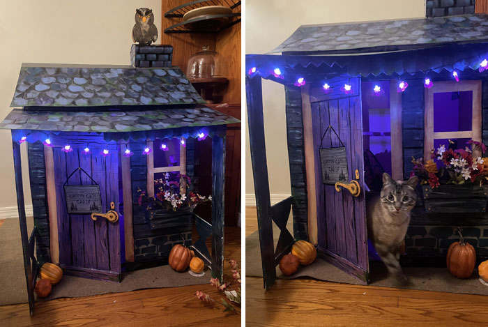 Decided To Make My Cat’s Their Own Haunted Cabin This Year
