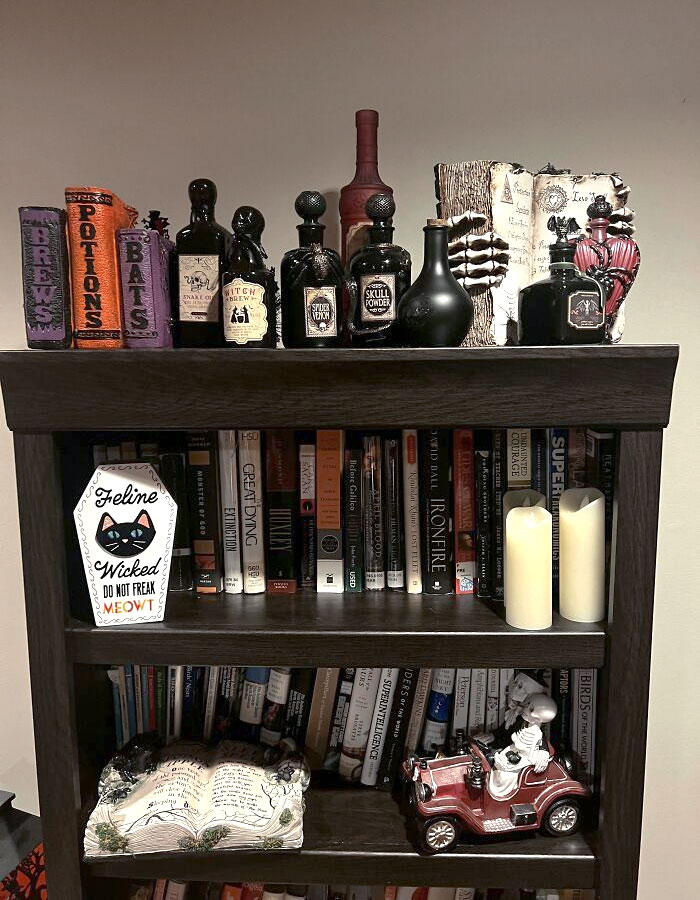 Turning My Book Case Into A Witch's Shelf