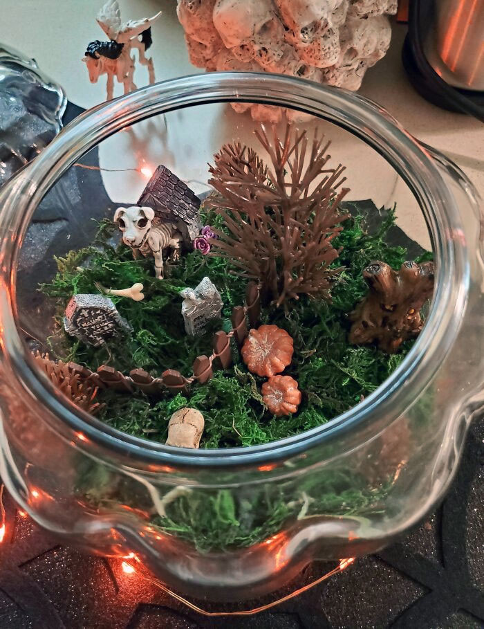 Halloween Terrarium. Saw The Idea And Wanted To Try My Own