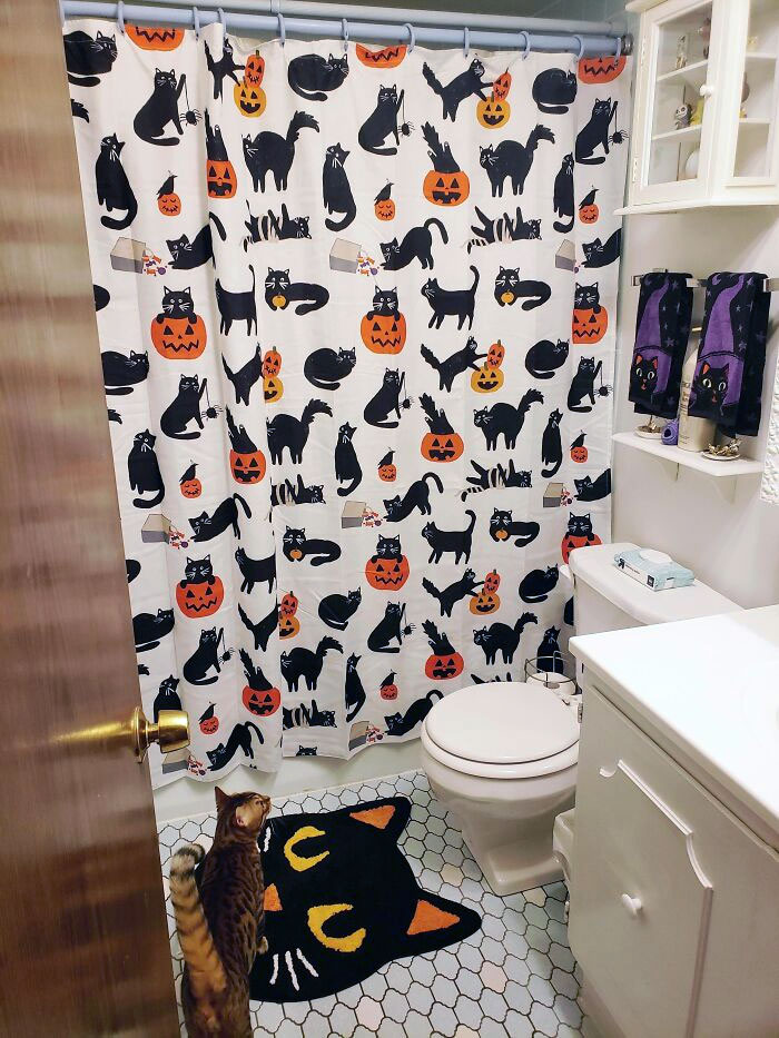 My Birthday Is On Halloween And I Obviously Love Cats. The Decorating Has Begun