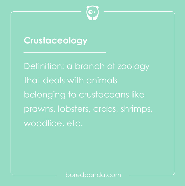 Definition of crustaceology, a hard spelling bee word, describing the study of animals like crabs and lobsters.