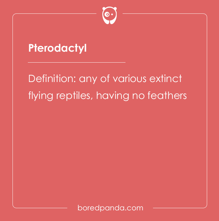 Pterodactyl definition card from a list of hard spelling bee words featuring extinct flying reptiles without feathers.