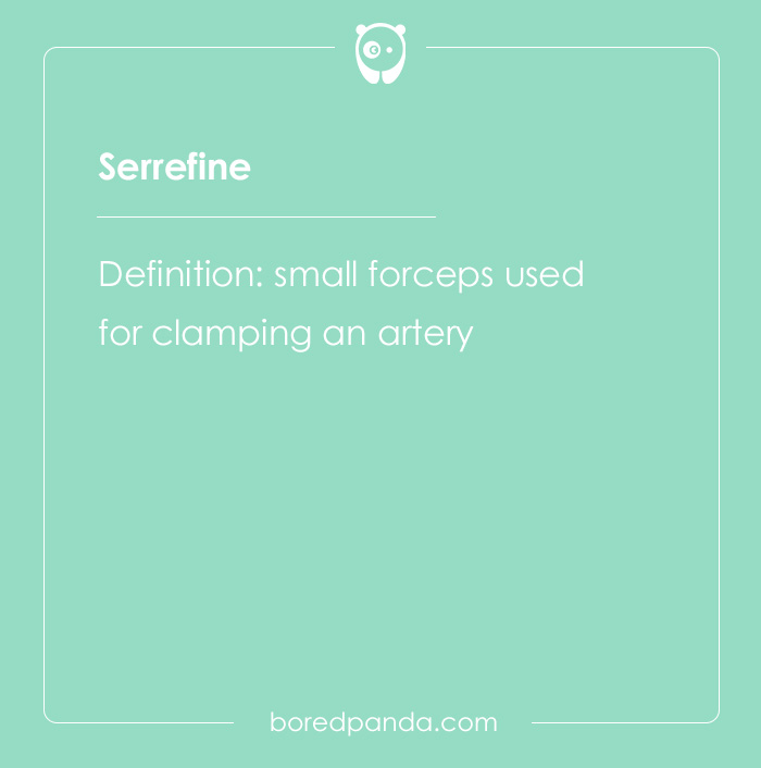 Serrefine spelling bee word with definition as a small forceps used for clamping an artery on a green background.