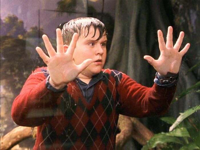 Potterheads Left In Tears Following Cut Harry Potter Scene Showing Dudley’s Sweet Gesture