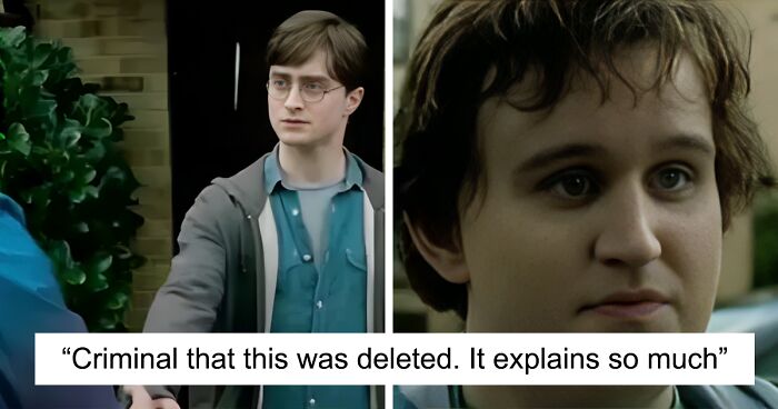 Potterheads Left In Tears Following Cut Harry Potter Scene Showing Dudley’s Sweet Gesture