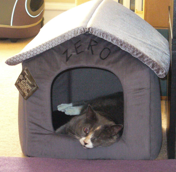 A soft Nightmare Before Christmas pet house/bed, for the cat or small breed pups who know that it's really a Christmas movie.