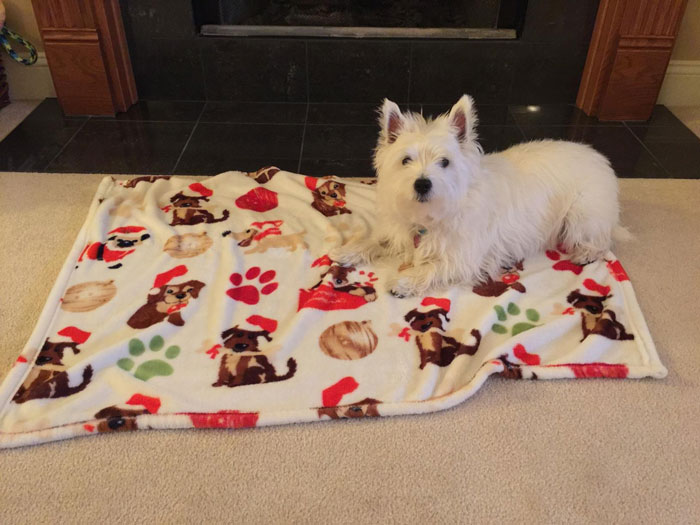 A fuzzy fleece blanket with a Santa puppy pattern, for maximum holiday coziness.