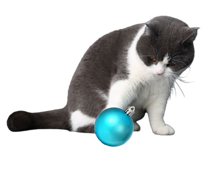A package of shatter-proof tree ornaments, so your curious kitty or puppy can stay safe when they inevitably end up "exploring" (aka pouncing on) your holiday decor.