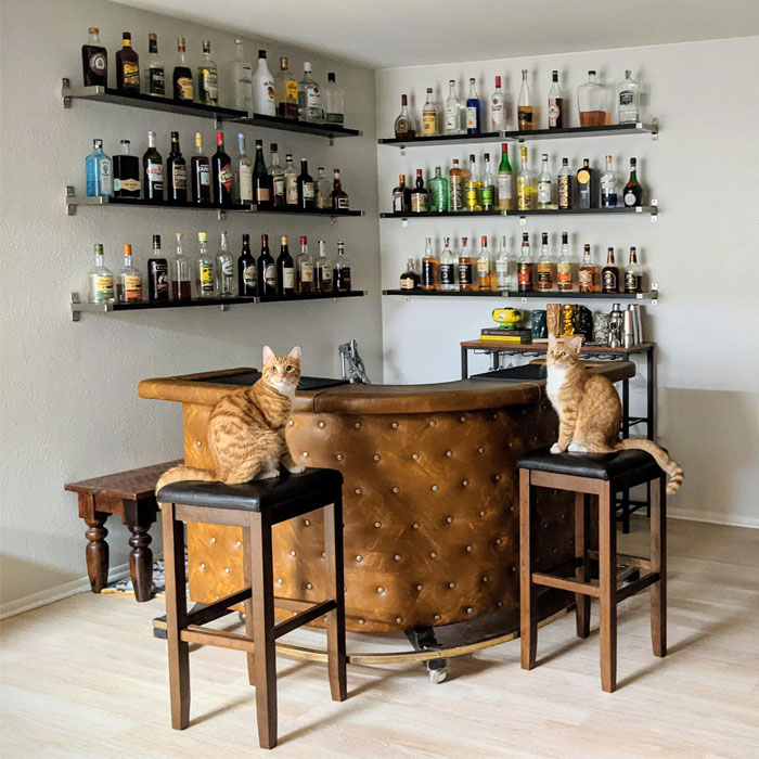 Small Rounded bar with two cats