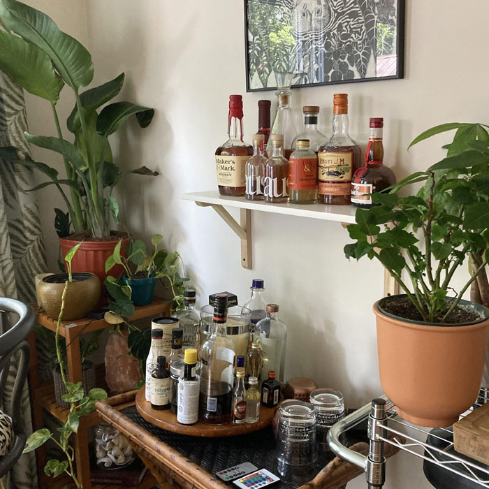 Plants in a small home bar 