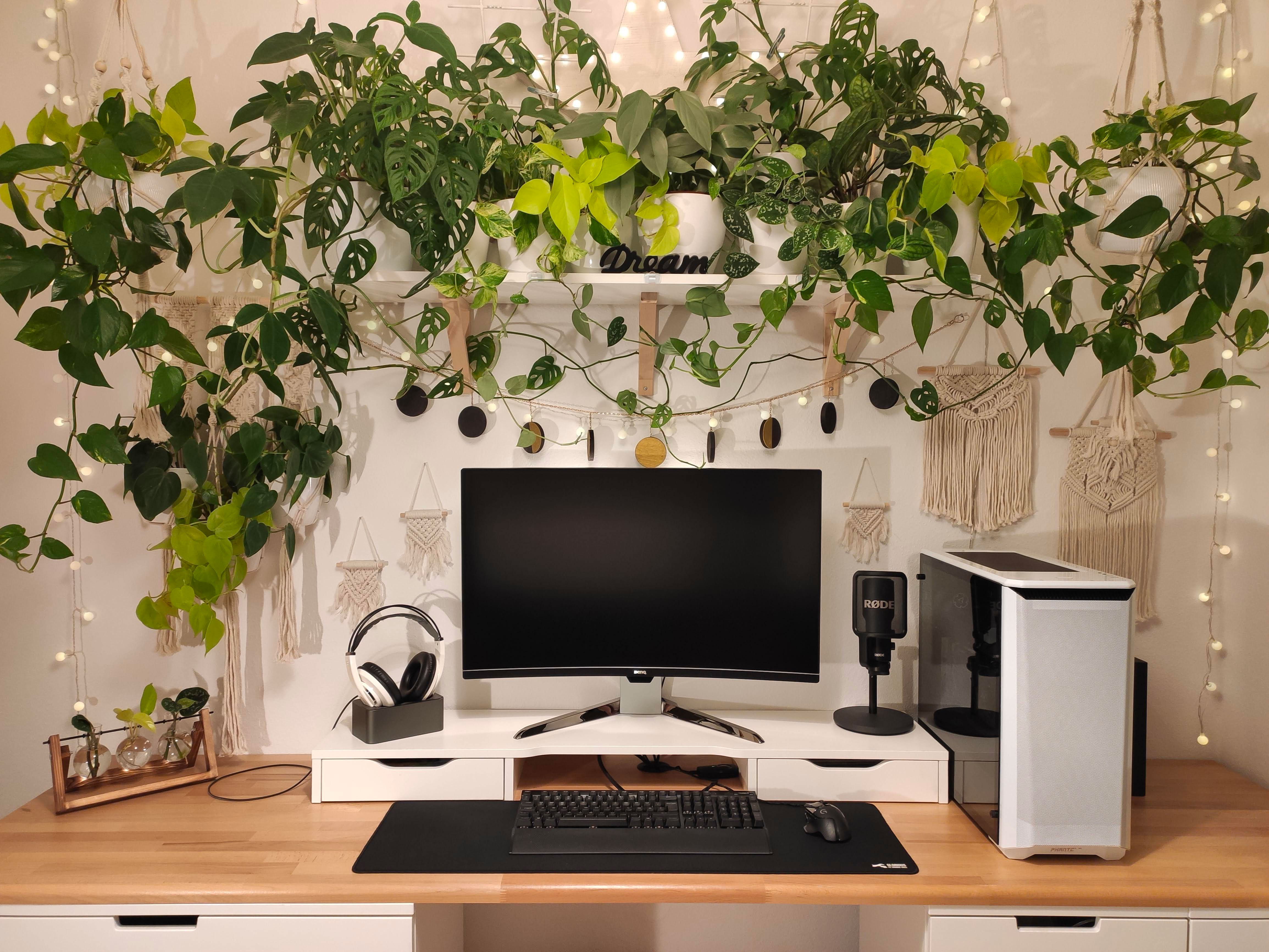 A lot of green plants around the monitor