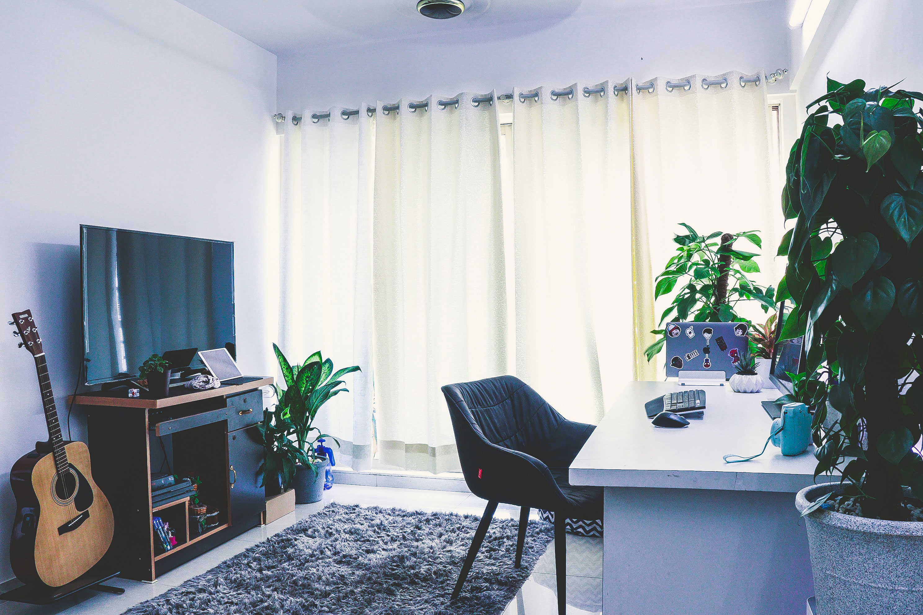 Bright home office with grey floor rug, black chair, green plants, and natural light from large window curtains. Bright home office with grey floor rug, black chair, green plants, and natural light from large window curtains.