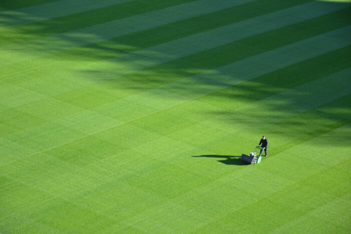 Man cutting grass with lawn mower on golf field, maintaining healthy turf to help get rid of moles permanently. Man cutting grass with lawn mower on golf field, maintaining healthy turf to help get rid of moles permanently.