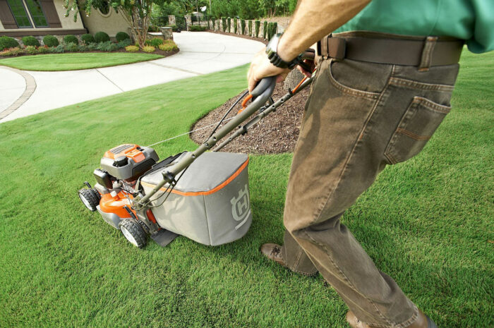 Man mowing lawn to maintain healthy grass, illustrating effective ways to get rid of moles and keep them away permanently. Man mowing lawn to maintain healthy grass, illustrating effective ways to get rid of moles and keep them away permanently.