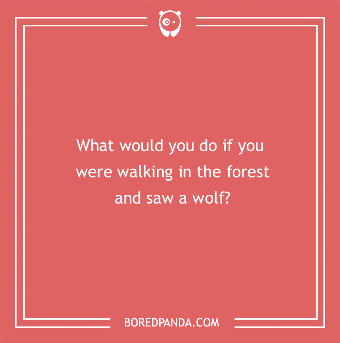 Hypothetical question in white text on a red background: "What would you do if you saw a wolf in the forest?"