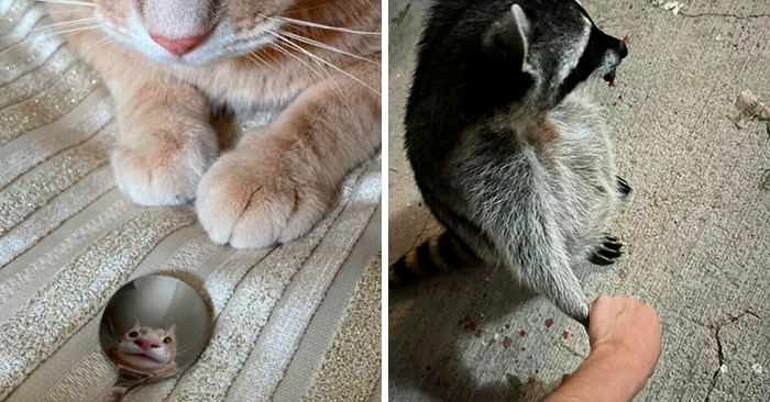 30 People Who Took The Funniest Pics And Finally Had A Chance To Show Them To The World