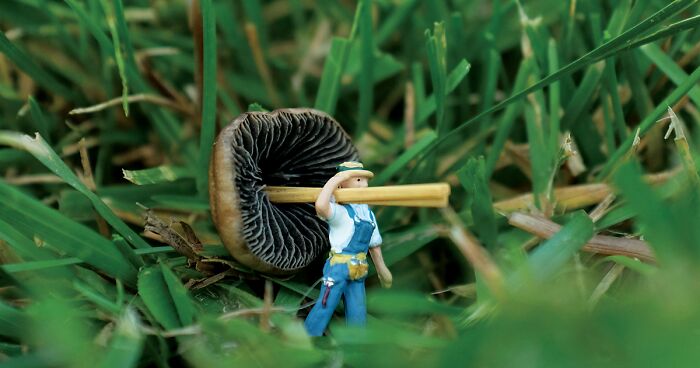 I Spent A Year Photographing The Tiny Residents Of Our Vegetable Farm, And Here Are The Best 20 Photos