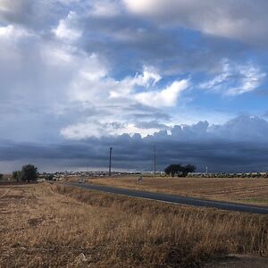 patriciapinapacaka avatar